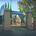 Sponsorship of the Irish Festival in Yass