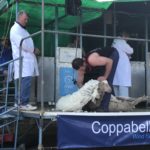 Sponsorship of the Speedshear Event in Bookham