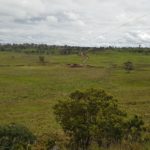 Cattle Hill Wind Farm site area